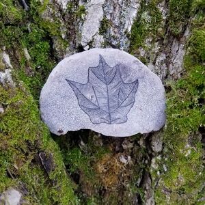 Maple Leaf - Hand Drawn On Bracket Fungus